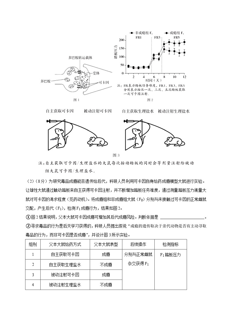 2024年高考押题预测卷—生物(上海卷02)(考试版)第3页