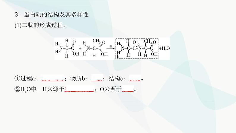 高考生物复习必修一第一单元第三讲蛋白质和核酸课件第5页