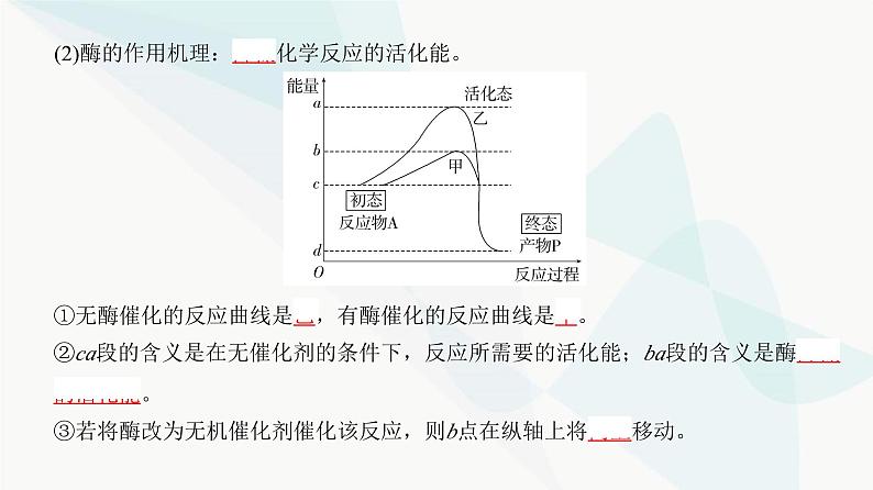 高考生物复习必修一第三单元第七讲酶和能量“货币”ATP课件第4页