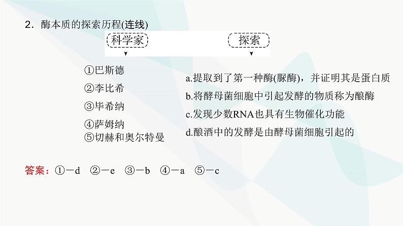 高考生物复习必修一第三单元第七讲酶和能量“货币”ATP课件第6页