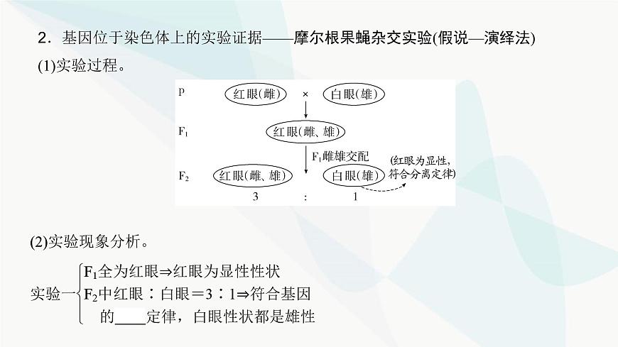 高考生物復(fù)習(xí)必修二第五單元第十五講伴性遺傳和人類(lèi)遺傳病課件第4頁(yè)