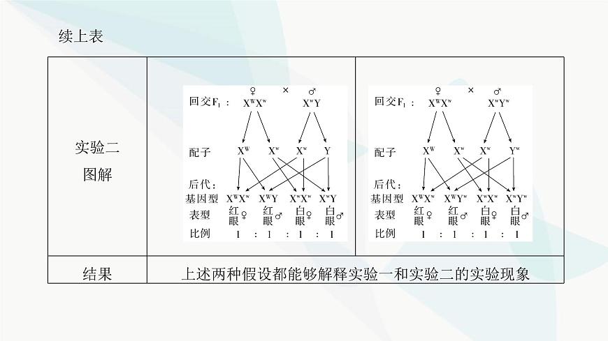 高考生物復(fù)習(xí)必修二第五單元第十五講伴性遺傳和人類(lèi)遺傳病課件第7頁(yè)