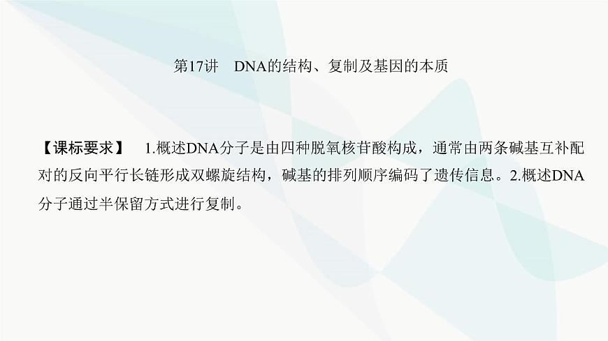 高考生物復(fù)習(xí)必修二第六單元第十七講DNA的結(jié)構(gòu)、復(fù)制及基因的本質(zhì)課件第2頁
