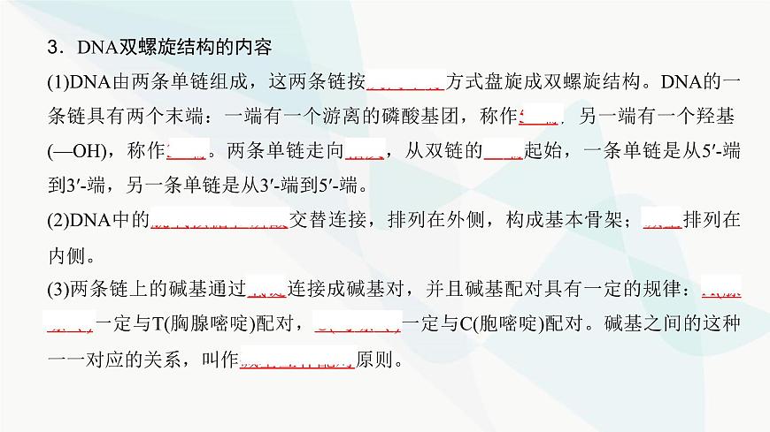 高考生物復(fù)習(xí)必修二第六單元第十七講DNA的結(jié)構(gòu)、復(fù)制及基因的本質(zhì)課件第5頁