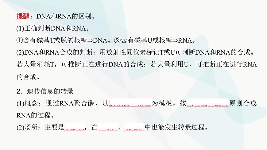 高考生物復習必修二第六單元第十八講基因的表達課件第4頁