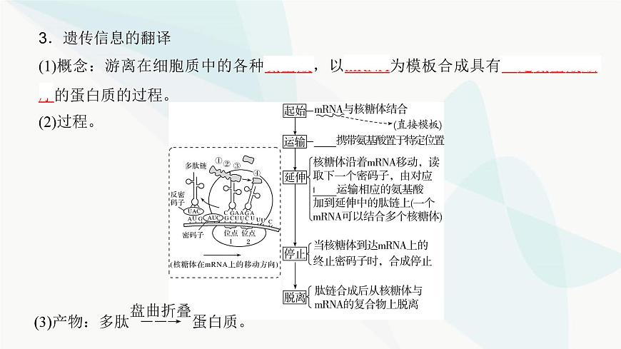 高考生物復習必修二第六單元第十八講基因的表達課件第6頁