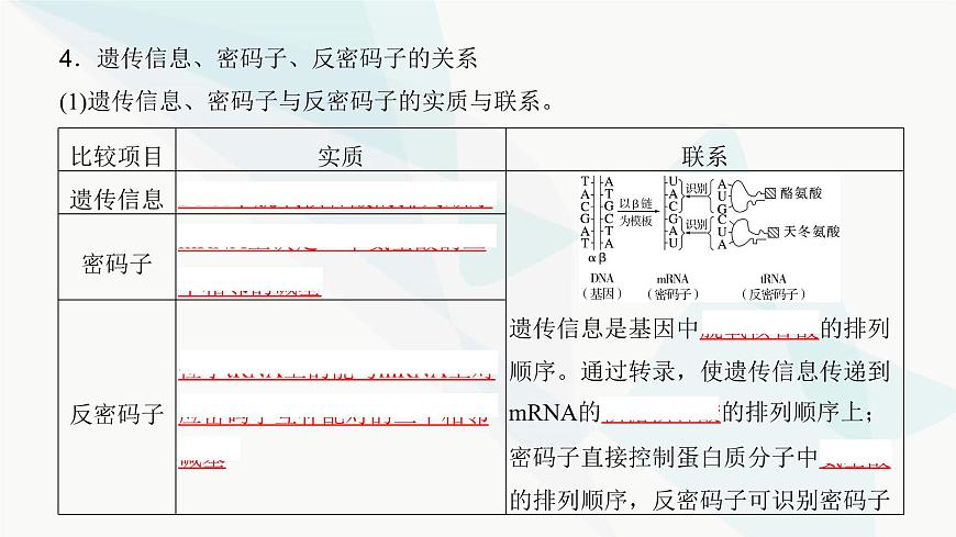 高考生物復習必修二第六單元第十八講基因的表達課件第7頁