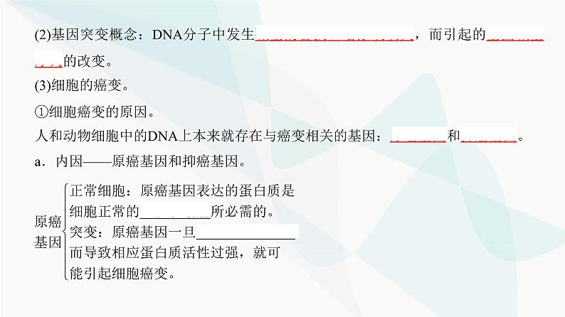 高考生物复习必修二第七单元第十九讲基因突变与基因重组课件第4页