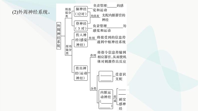 高考生物复习选择性必修一第八单元第二十三讲神经调节课件04