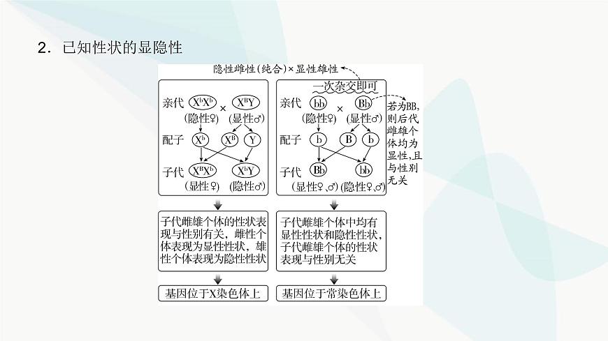 高考生物復(fù)習(xí)必修二第五單元微專題七基因位置的判斷及其遺傳實驗設(shè)計方法課件第3頁