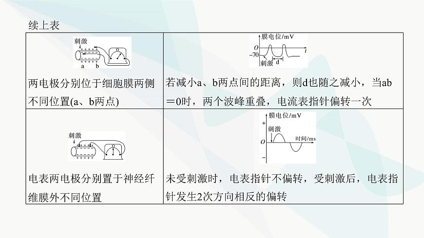 高考生物復(fù)習(xí)選擇性必修一第八單元微專題一0神經(jīng)調(diào)節(jié)中興奮傳導(dǎo)與傳遞的實(shí)驗(yàn)探究課件第3頁