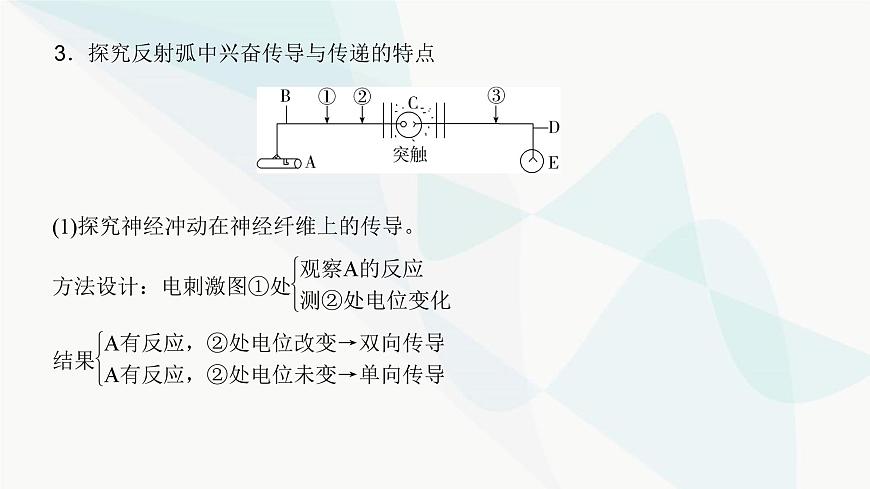 高考生物復(fù)習(xí)選擇性必修一第八單元微專題一0神經(jīng)調(diào)節(jié)中興奮傳導(dǎo)與傳遞的實(shí)驗(yàn)探究課件第6頁
