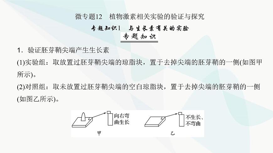 高考生物復(fù)習(xí)選擇性必修一第八單元微專題一2植物激素相關(guān)實(shí)驗(yàn)的驗(yàn)證與探究課件第2頁