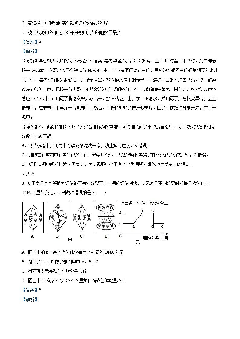安徽省宿州市示范高中2023—2024学年高一下学期期中考试生物试题(解析版)第2页