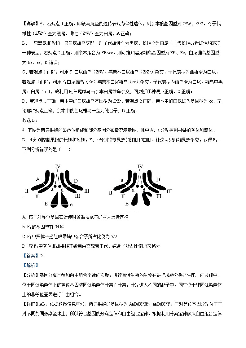 山东省菏泽市2023—2024学年高一下学期期中考试生物试题(A卷)(解析版)第3页