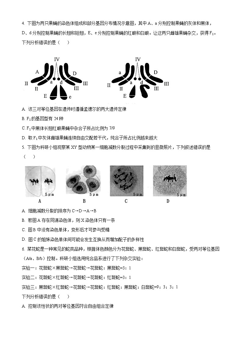 山东省菏泽市2023—2024学年高一下学期期中考试生物试题(A卷)(原卷版)第2页