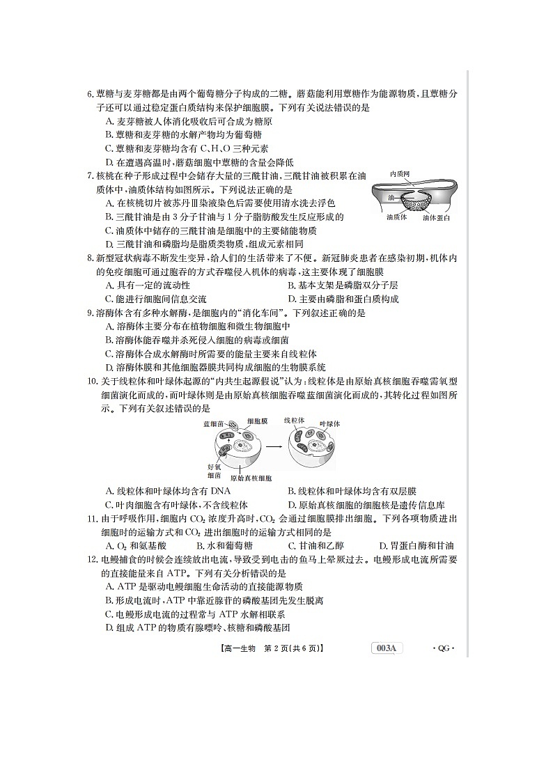 2023届青海省海东市第三中学高一上学期生物12月月考试题02