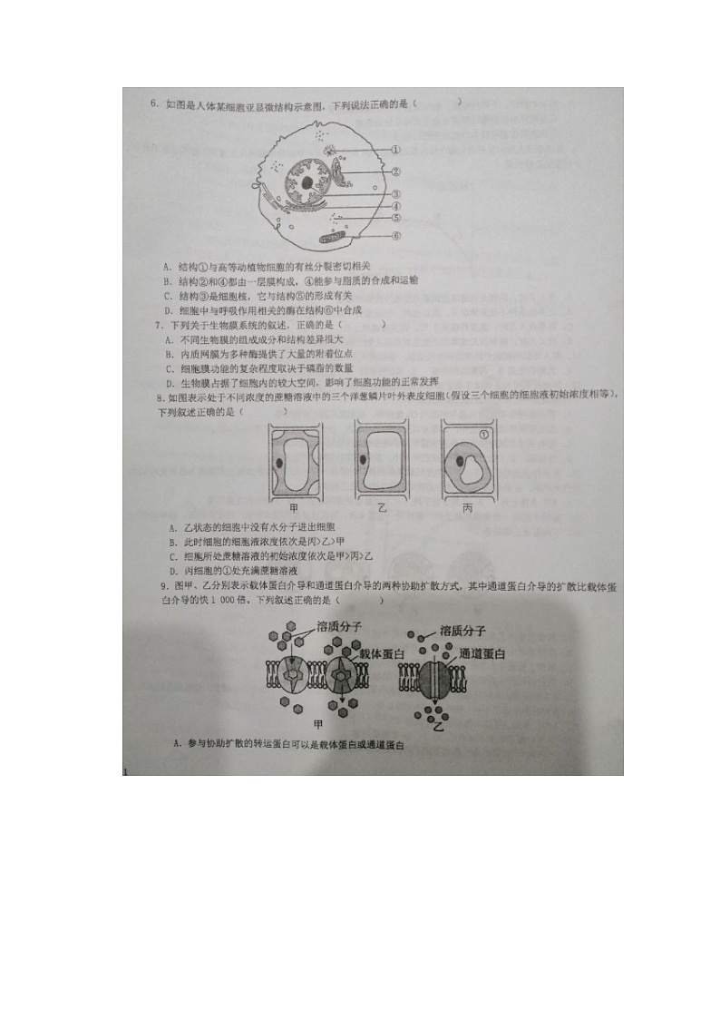 2023届江苏省盐城市伍佑中学高一上学期生物12月月考试题02
