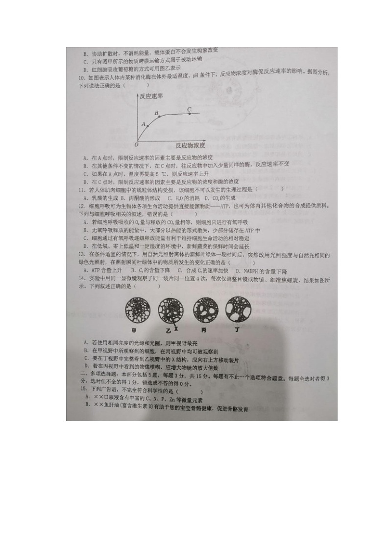 2023届江苏省盐城市伍佑中学高一上学期生物12月月考试题03