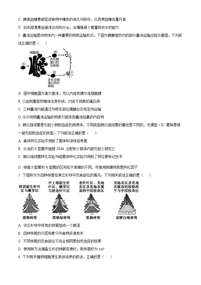 2024浙江省G5联盟高二下学期4月期中联考生物试题含解析02