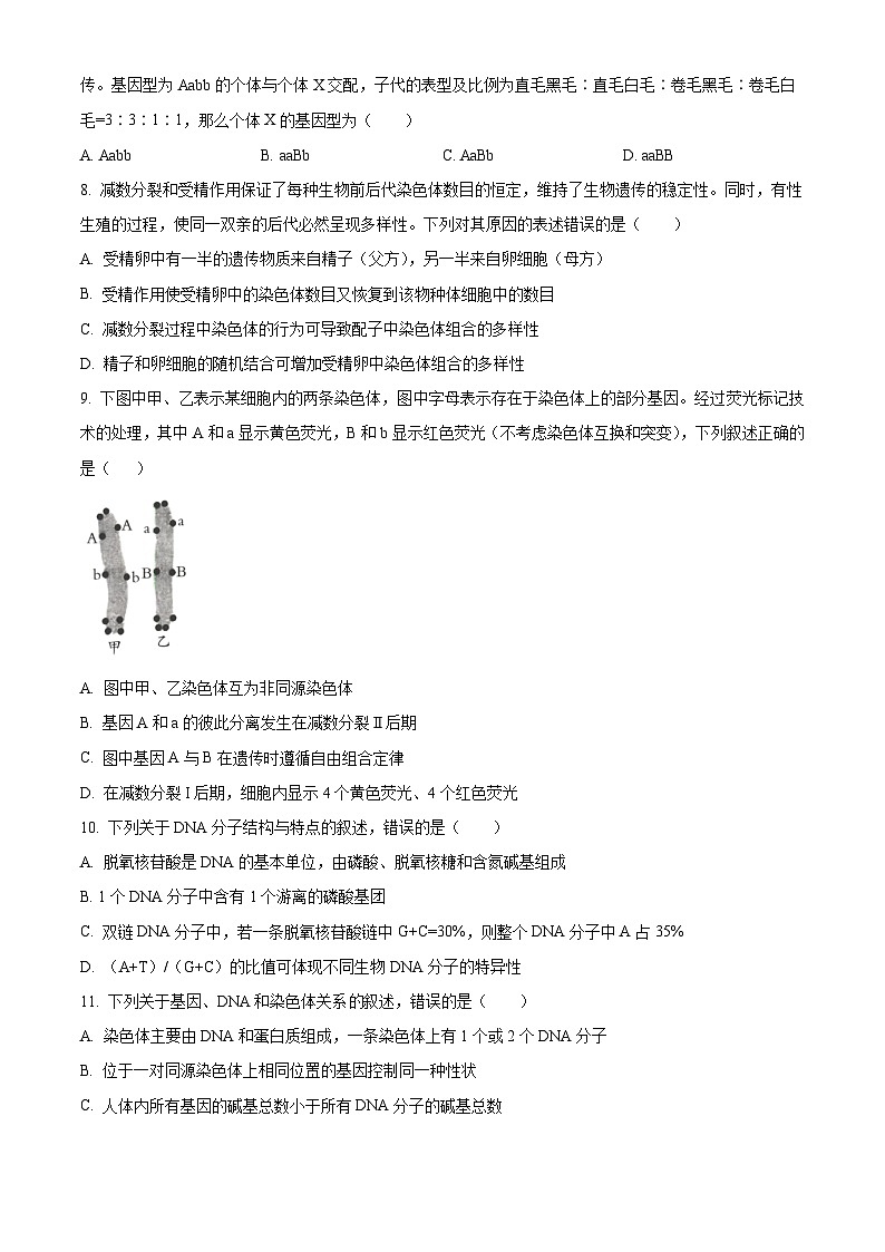 湖南省湖湘教育三新探索协作体2023-2024学年高一下学期4月期中生物试题(原卷版+解析版)03