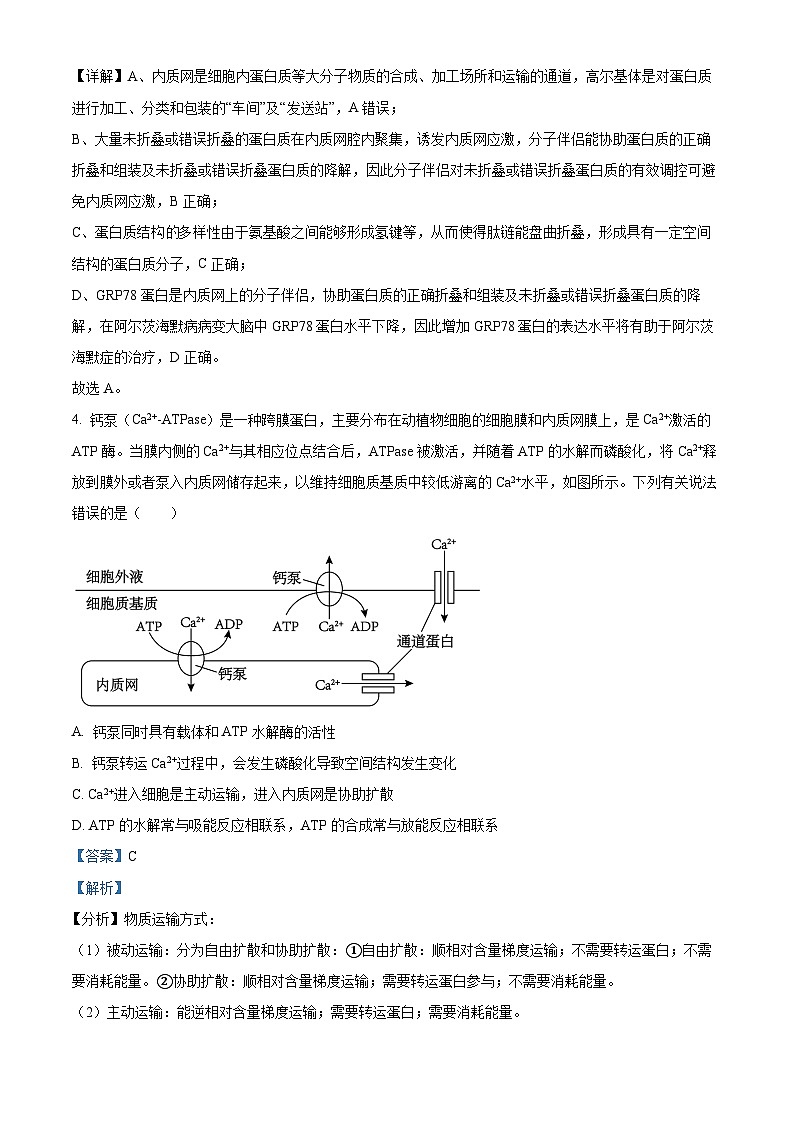 湖南省湖湘教育三新探索协作体2023-2024学年高一下学期4月期中生物试题(原卷版+解析版)03