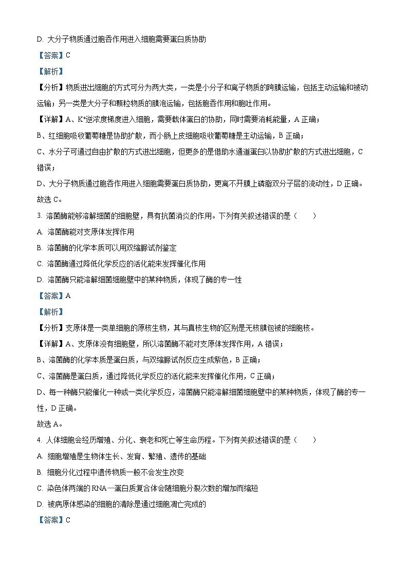 广东省梅州市宪梓中学2023-2024学年高一下学期期中联考生物试卷(原卷版+解析版)02
