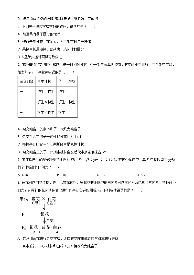 广东省梅州市宪梓中学2023-2024学年高一下学期期中联考生物试卷(原卷版+解析版)02