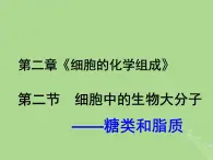 2024年同步备课高中生物1.2细胞中的糖类和脂质课件苏教版必修1