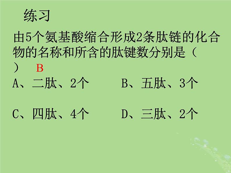 2024年同步备课高中生物1.3细胞中的蛋白质和核酸1课件苏教版必修104