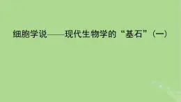 2024年同步备课高中生物2.1细胞学说__现代生物学的“基石”课件苏教版必修1