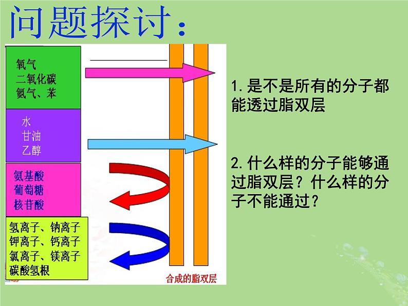 2024年同步备课高中生物2.3物质进出细胞的运输方式课件苏教版必修1第2页