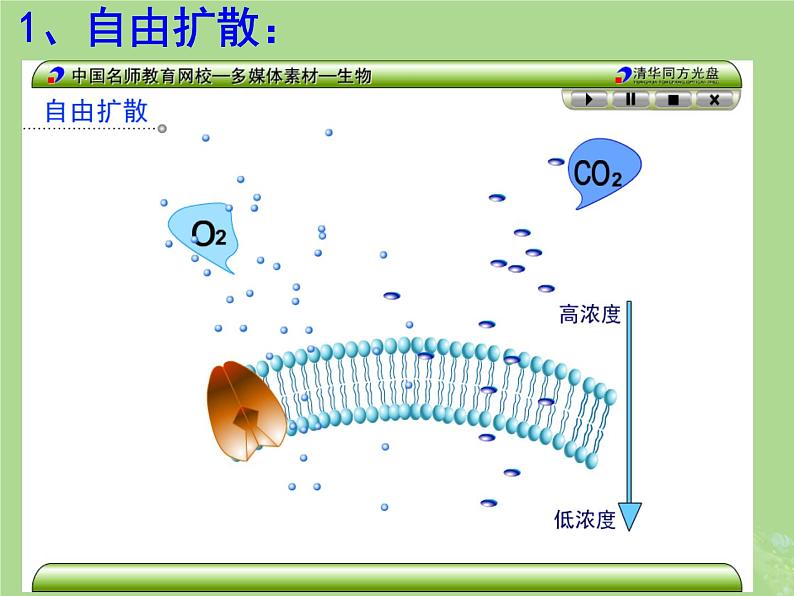 2024年同步备课高中生物2.3物质进出细胞的运输方式课件苏教版必修1第5页