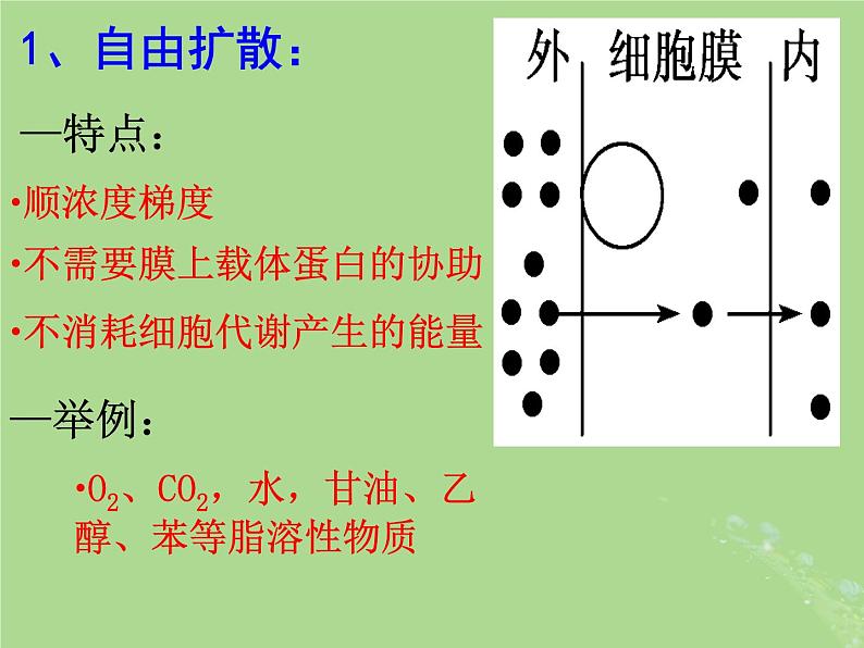 2024年同步备课高中生物2.3物质进出细胞的运输方式课件苏教版必修1第6页