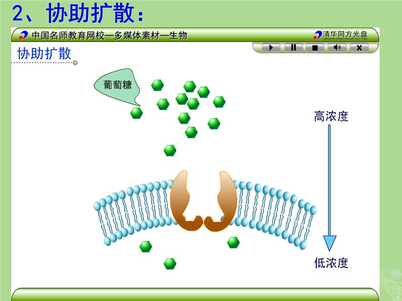2024年同步备课高中生物2.3物质进出细胞的运输方式课件苏教版必修1第7页