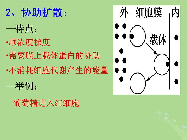 2024年同步备课高中生物2.3物质进出细胞的运输方式课件苏教版必修1第8页
