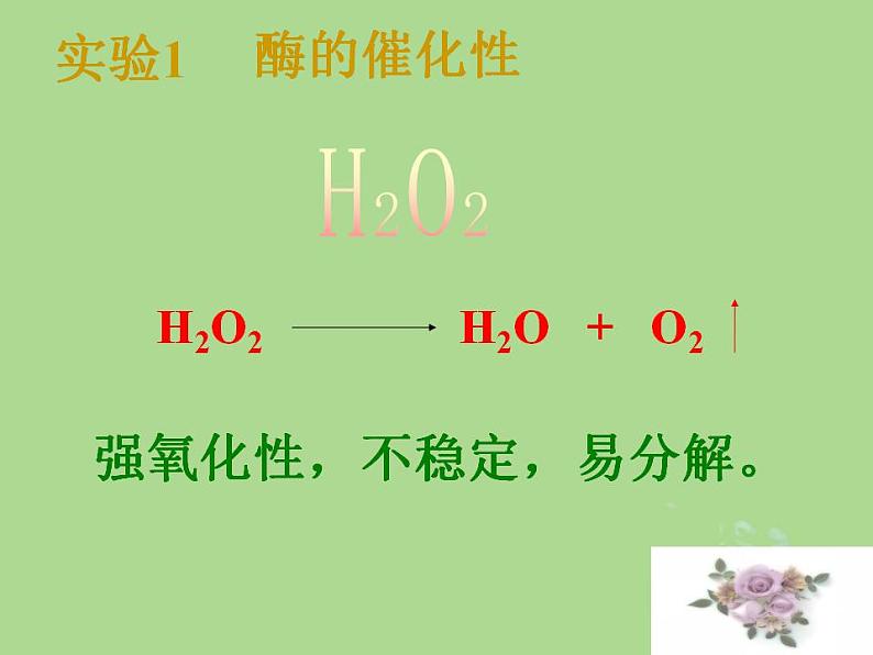 2024年同步备课高中生物3.1生命活动需要酶和能源物质第2课时课件苏教版必修104