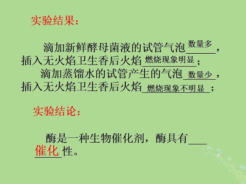 2024年同步备课高中生物3.1生命活动需要酶和能源物质第2课时课件苏教版必修107