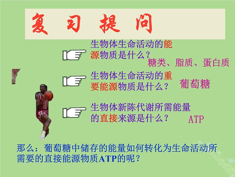2024年同步备课高中生物3.3细胞呼吸__能量的转化和利用课件苏教版必修102