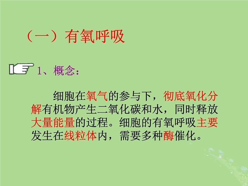 2024年同步备课高中生物3.3细胞呼吸__能量的转化和利用课件苏教版必修105