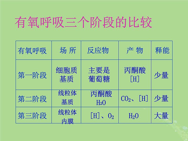 2024年同步备课高中生物3.3细胞呼吸__能量的转化和利用课件苏教版必修108