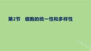 人教版 (新课标)必修1《分子与细胞》第2节 细胞的多样性和统一性备课ppt课件