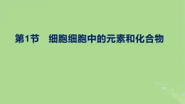 2024年同步备课高中生物2.1细胞中的元素和化合物课件新人教版必修1