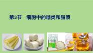 人教版 (新课标)必修1《分子与细胞》第二章 组成细胞的分子第4节 细胞中的糖类和脂质备课课件ppt
