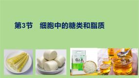 人教版 (新课标)必修1《分子与细胞》第二章 组成细胞的分子第4节 细胞中的糖类和脂质备课课件ppt