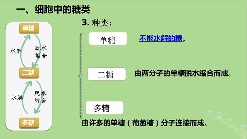 2024年同步备课高中生物2.3细胞中的糖类和脂质课件新人教版必修105