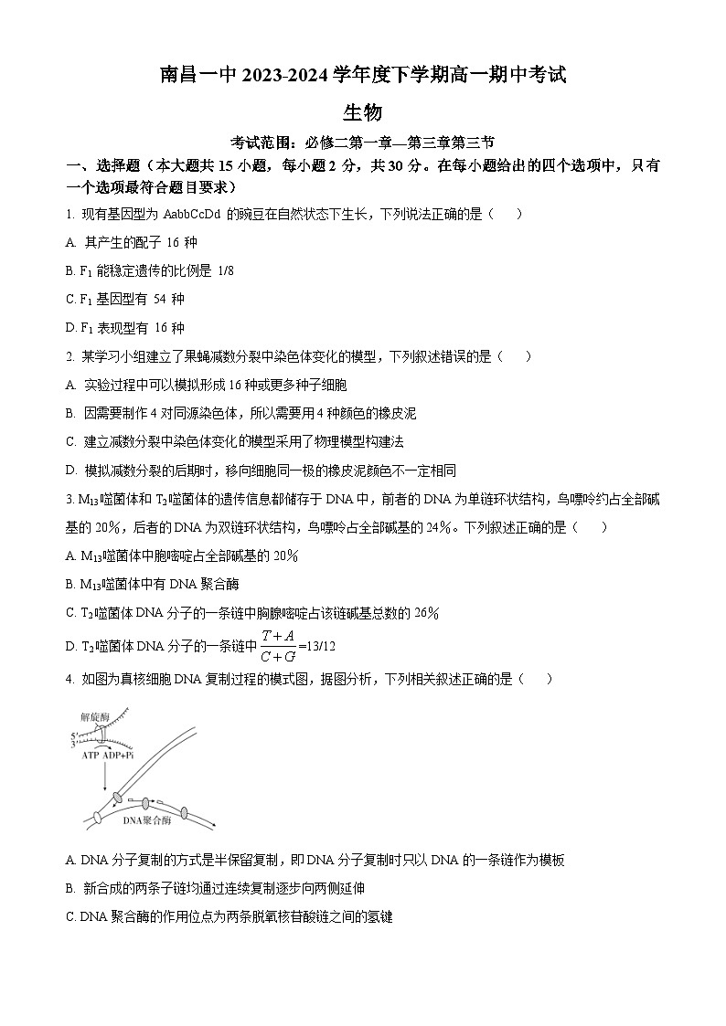 江西省南昌市第一中学2023-2024学年高一下学期4月期中生物试题(Word版附答案)01