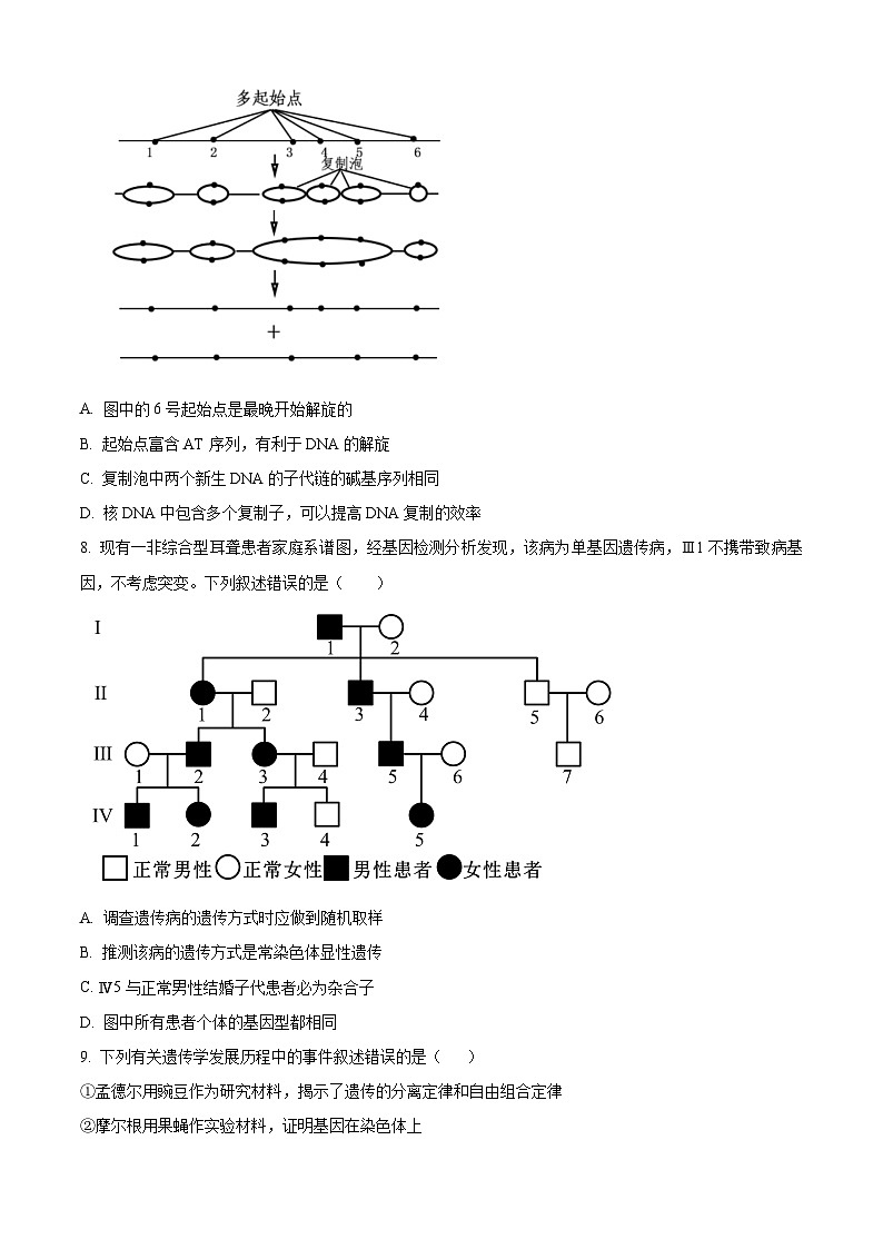 江西省南昌市第一中学2023-2024学年高一下学期4月期中生物试题(Word版附答案)03