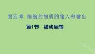 高中生物第四章 细胞的物质输入和输出第1节 物质跨膜运输的实例备课课件ppt