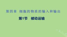 高中生物第四章 细胞的物质输入和输出第1节 物质跨膜运输的实例备课课件ppt